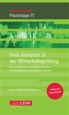 Nick Gehrke, Marcus Herold, Vahid Jasmin, Vahidi Jasmin, Michael Kapitza, Michael Kapitzka... - Data Analytics in der Wirtschaftsprüfung