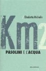 Elisabetta Michielin - Pasolini e l'acqua