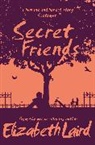 Elizabeth Laird, Laird Elizabeth, Alleanna Harris - Secret Friends