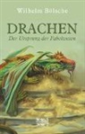 Wilhelm Bölsche - Drachen - Der Ursprung der Fabelwesen