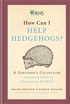 Helen Bostock, Sophie Collins, Collins Sophie - RHS How Can I Help Hedgehogs?