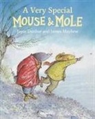 Joyce Dunbar, James Mayhew - Mouse and Mole: A Very Special Mouse and Mole