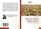 Sana Medimagh - Amélioration Génétique de l'Orge de printemps (Hordeum vulgare L.)