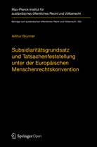 Arthur Brunner - Subsidiaritätsgrundsatz und Tatsachenfeststellung unter der Europäischen Menschenrechtskonvention