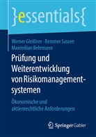 Maximil Behrmann, Maximilian Behrmann, Werne Gleissner, Werner Gleißner, Remme Sassen, Remmer Sassen - Prüfung und Weiterentwicklung von Risikomanagementsystemen