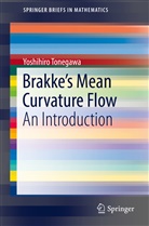 Yoshihiro Tonegawa - Brakke's Mean Curvature Flow