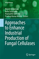 Pradeep Kumar Mishra, Pramod Ramteke, Pramod W. Ramteke, Manish Srivastava, Neh Srivastava, Neha Srivastava... - Approaches to Enhance Industrial Production of Fungal Cellulases