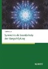 Paul Amrod - Symmetrien als Grundprinzip der Klangschöpfung