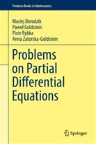 Macie Borodzik, Maciej Borodzik, Pawe Goldstein, Pawe¿ Goldstein, Pawel Goldstein, Paweł Goldstein... - Problems on Partial Differential Equations