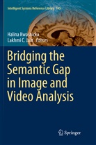 C Jain, C Jain, Lakhmi C. Jain, Halin Kwasnicka, Halina Kwasnicka, Halina Kwaśnicka - Bridging the Semantic Gap in Image and Video Analysis