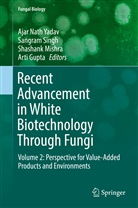 Arti Gupta, Shashank Mishra, Shashank Mishra et al, Sangra Singh, Sangram Singh, Ajar Nath Yadav - Recent Advancement in White Biotechnology Through Fungi