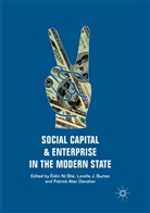 Patrick Alan Danaher, Lorelle J. Burton, Patrick Alan Danaher, Lorell J Burton, Lorelle J Burton, Éidín Ní Shé - Social Capital and Enterprise in the Modern State