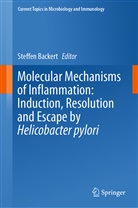 Steffe Backert, Steffen Backert - Molecular Mechanisms of Inflammation: Induction, Resolution and Escape by Helicobacter pylori
