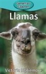 Victoria Blakemore - Llamas