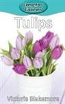 Victoria Blakemore - Tulips