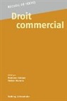 Damiano Canapa, Tristan Gianora - Droit commercial