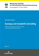 Daniela Peters - Synergy and Goodwill Controlling