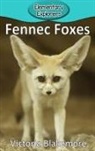 Victoria Blakemore - Fennec Foxes