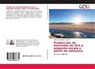 Catalina Velásquez Carrasco - Producción de hidróxido de litio a pequeña escala a partir de salmuera