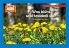 Verena Sangu - Was blüht und krabbelt da? / Kamishibai Bildkarten