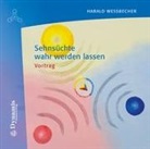 Harald Wessbecher - Sehnsüchte wahr werden lassen, 1 Audio-CD (Audiolibro)