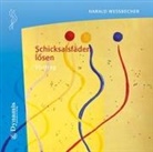 Harald Wessbecher - Schicksalsfäden lösen, 1 Audio-CD (Audio book)