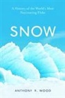 Anthony R. Wood - Snow
