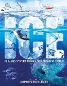 DK, Phonic Books - Ice