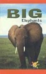 Shelby Braidich - Big Elephants