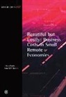 Pedro M. G. Martins, L. Alan Winters - Beautiful But Costly: Business Costs in Small Remote Economies