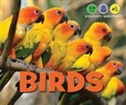 Heather Moore Niver - Birds