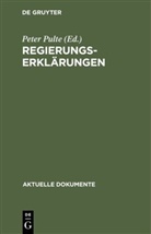 Pete Pulte, Peter Pulte - Regierungserklärungen