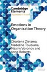 Anna Roberts, Madeline Toubiana, Maxim Voronov, Voronov Maxim, Charlene Zietsma, Charlene (Pennsylvania State University) Zietsma - Emotions in Organization Theory