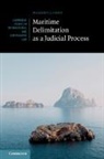 Massimo Lando, Massimo (City University of Hong Kong) Lando - Maritime Delimitation As a Judicial Process