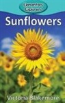 Victoria Blakemore - Sunflowers
