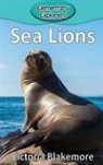Victoria Blakemore - Sea Lions