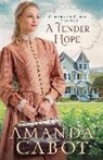 Amanda Cabot - A Tender Hope