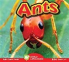 Aaron Carr - Ants