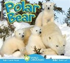 Steve Macleod - Polar Bear