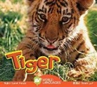 Steve Macleod - Tiger
