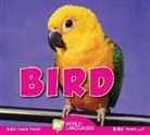 Aaron Carr - Bird