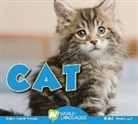 Aaron Carr - Cat