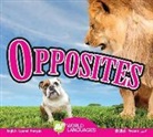 Aaron Carr - Opposites