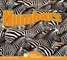 Aaron Carr - Numbers
