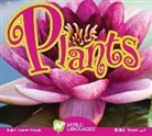 Aaron Carr - Plants