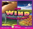 Megan Cuthbert - How Wind Shapes the Earth