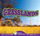 Alexis Roumanis - Grasslands