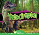 Aaron Carr - Velociraptor