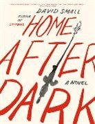 David Small, Small David - Home After Dark