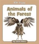 Czeena Devera - Animals of the Forest